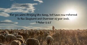 Sun, 9 am: Sep 29, 2024 - I Am the Good Shepherd