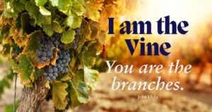 Sun, 9 am: Oct 20, 2024 - I am the Vine